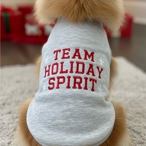 *BIN* WONDERSHOP “Team Holiday Spirit” XS Grey Pet Sweatshirt